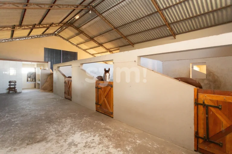 Terreno de 87.725,00 m² com Estrutura de Haras