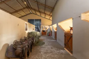 Terreno de 87.725,00 m² com Estrutura de Haras