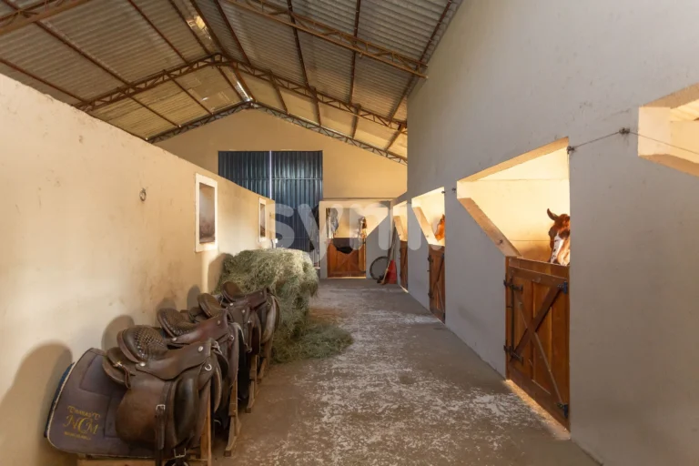 Terreno de 87.725,00 m² com Estrutura de Haras