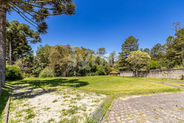 Casa com 3 quartos e amplo terreno em Pinhais.